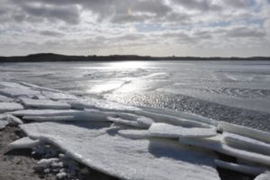 ????????????????????????????????????