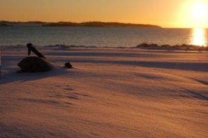 ????????????????????????????????????